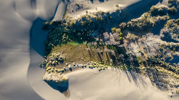 Oasis Dans Les Dunes De Sable De Mendoza, Argentine