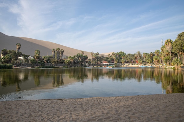 Oasis de Huacachina