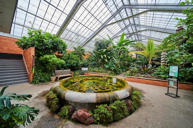 Photo une oasis de serres tropicales avec de l'eau et de la lumière naturelle