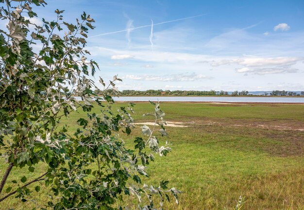 Photo oberer stinkersee est situé dans la région de oberer.