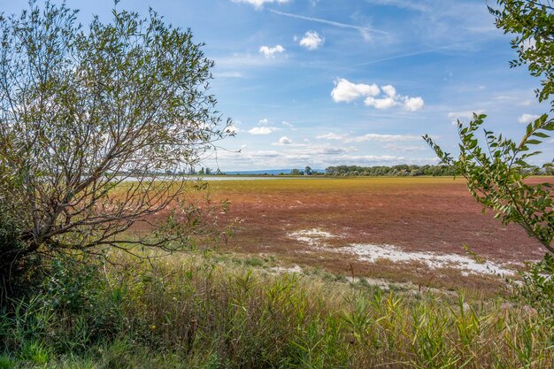 Photo oberer stinkersee est situé dans la région de oberer.