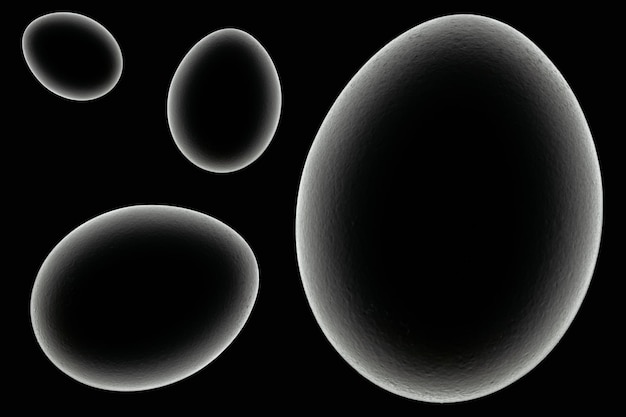 Objet abstrait ou arrière-plan Silhouette d'oeuf de poule sur fond noir Thème de la naissance de la vie Concept