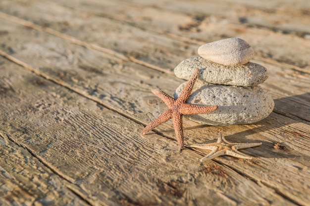 Objets marins sur la surface d'un bateau en bois Objets de la mer sur un bateau âgé texturé