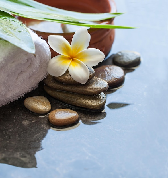 Objets de spa pour massage sur fond d'eau sombre