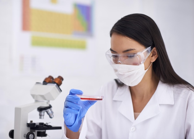 Observation de la croissance d'une culture biologique Photo recadrée d'une femme scientifique observant la culture dans un plat