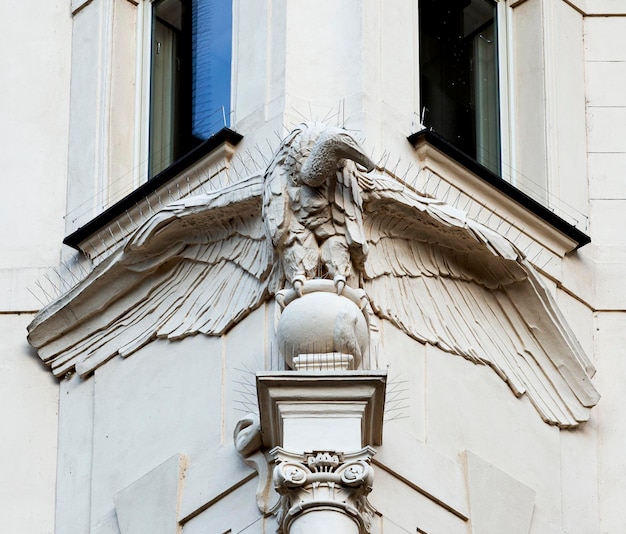 observation des vautours sur la façade