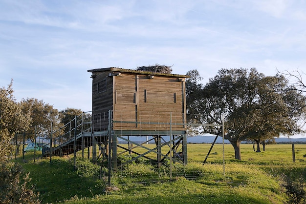 Photo observatoire des oiseaux espagne