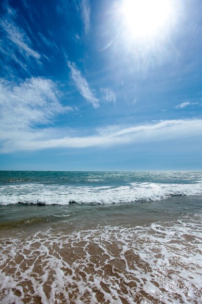 Océan tropical de beauté et plage de sable incroyable