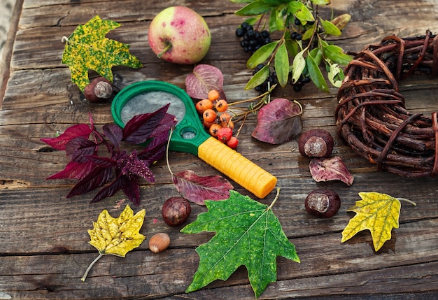 Photo octobre herbier sur la table