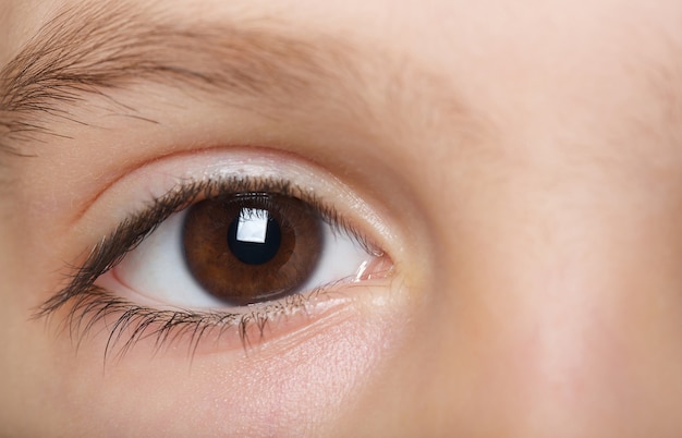 Oeil d'un enfant de six ans. Fermer