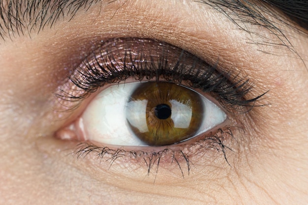 Oeil féminin marron avec des cils peints. Fermer.