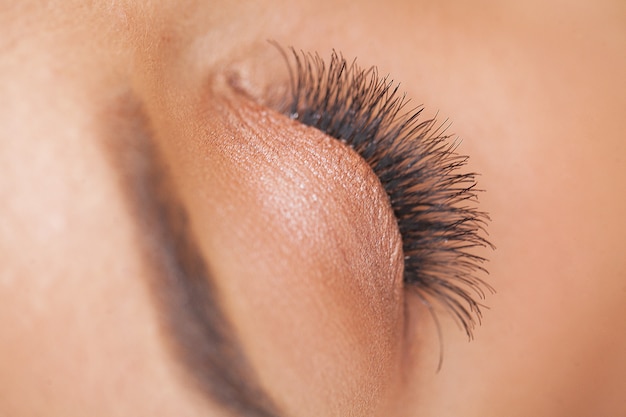 Oeil de femme avec de longs cils. Belle jeune femme pendant l'extension des cils