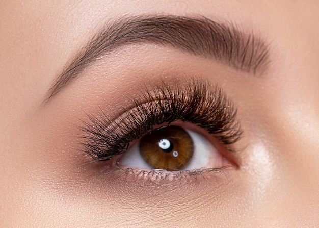 Oeil de femme avec maquillage professionnel