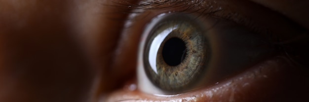 Oeil gauche de couleur gris vert mâle en gros plan technique de faible luminosité