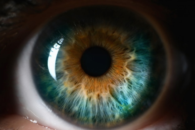 Oeil humain bleu orange bouchent de fond.