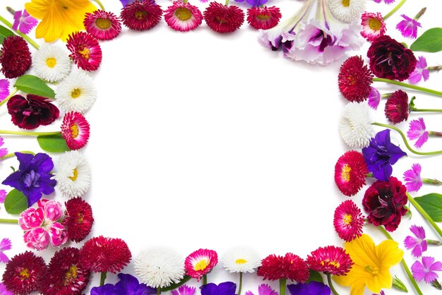 Oeillets de fleurs, marguerite, pétunias, marguerites et feuilles isolés sur fond blanc. Faire-part de mariage. La mise en page à plat, vue de dessus