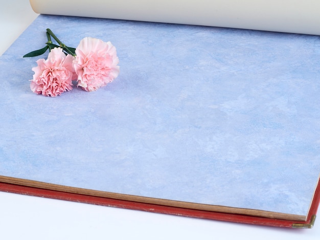 Oeillets roses sur carnet bleu