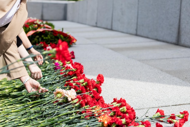 Des œillets rouges ont été déposés en l'honneur des soldats tombés au mémorial en marbre Symbole de la victoire Mise au point sélective Une main pose des œillets rouges sur une pierre tombale en granit Mémoire des morts
