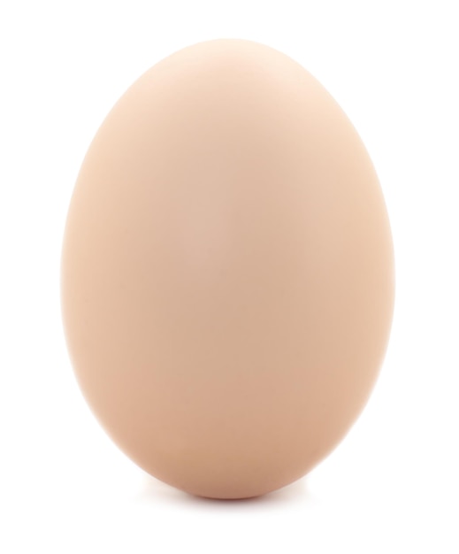 Un œuf brun