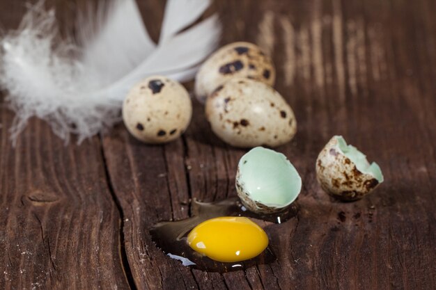 Oeuf de caille cassé avec le jaune fuit