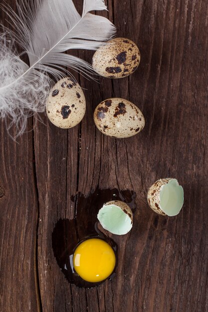 Oeuf de caille cassé avec le jaune fuit