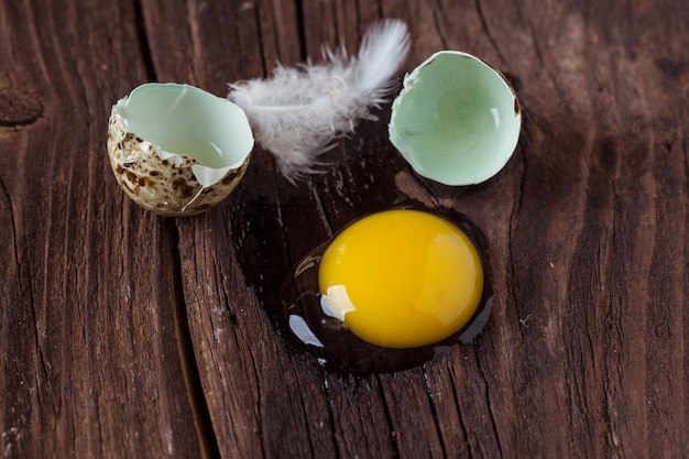 Oeuf de caille cassé avec le jaune fuit