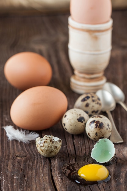 Oeuf de caille cassé et poulet avec le jaune fuit