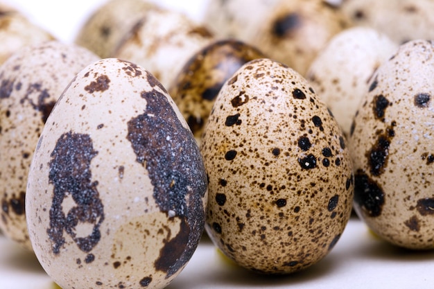 Oeuf de caille isolé sur un blanc