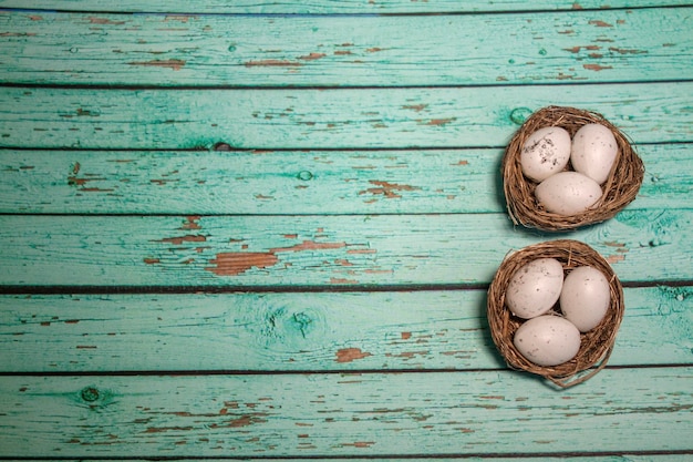 Oeuf dans le nid sur fond de bois bleu