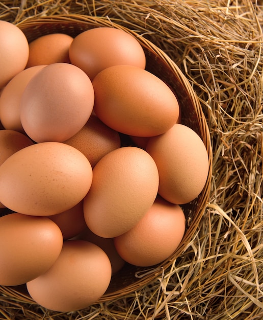 Oeuf dans un panier sur l'herbe séchée