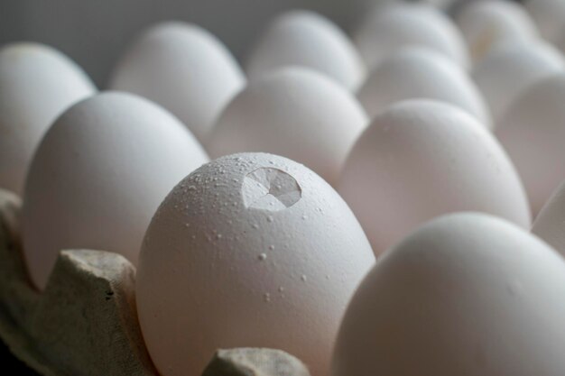 Oeuf écrasé de poulet dans la boîte