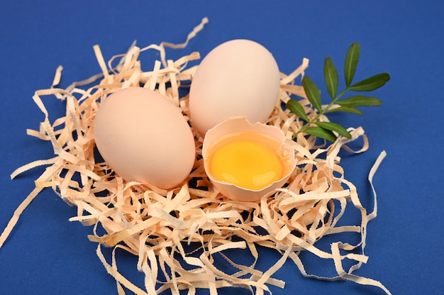 Oeuf sur fond bleu. tendance minimaliste, vue de dessus. Plateau d'oeufs. Concept de Pâques.