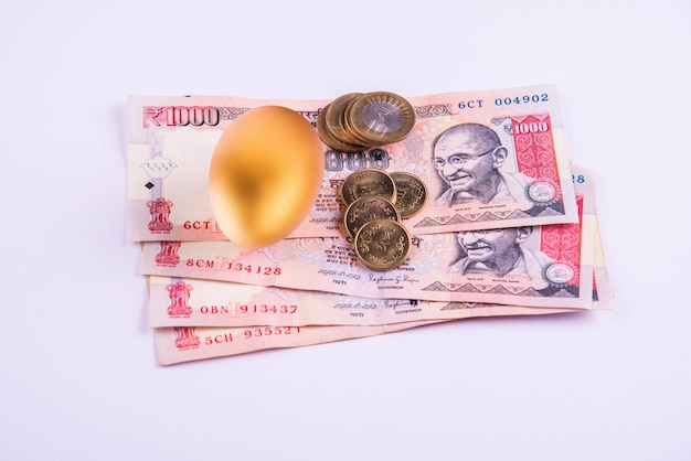 Un oeuf d'or sur un tas de billets de banque indiens