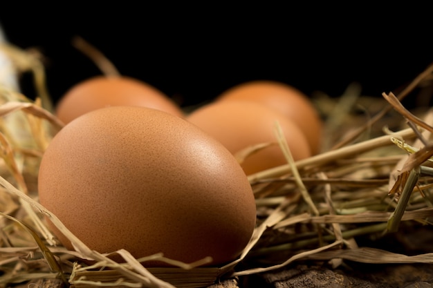 Oeuf. paille. sur bois fond noir