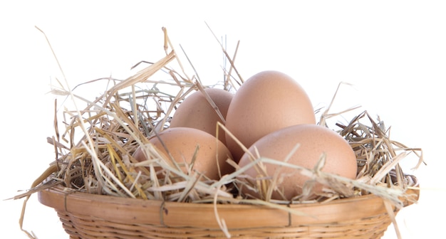 Oeuf, panier, paille sur fond blanc.