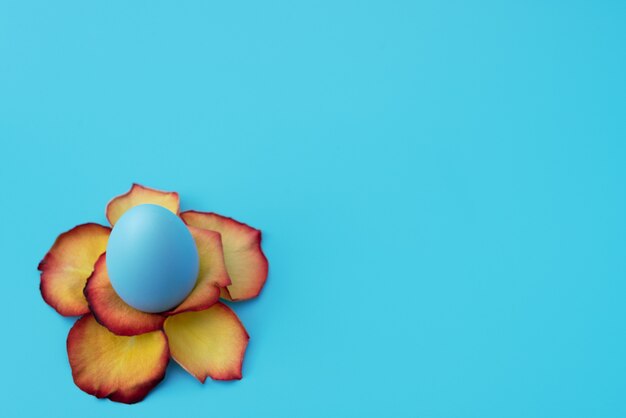 Oeuf de Pâques bleu se dresse dans une fleur jaune faite de pétales de rose sur bleu