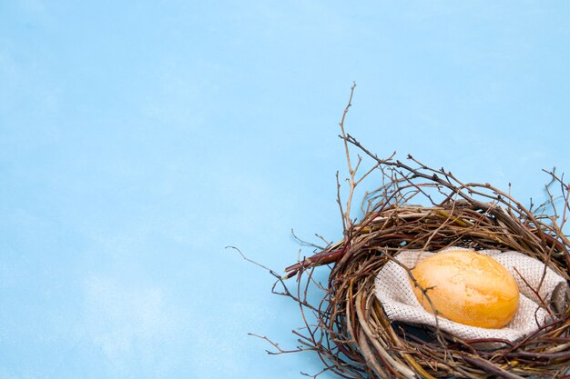 oeuf de pâques dans un nid sur fond bleu