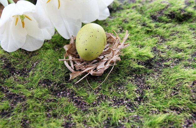 Oeuf de Pâques dans le nid sur fond d'herbe verte
