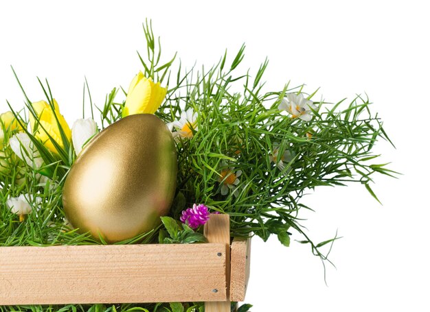 Un œuf de Pâques doré dans de l'herbe verte sur du blanc.