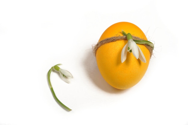 Oeuf de Pâques peint perce-neige jaune et frais isolé sur fond blanc Mise au point sélective