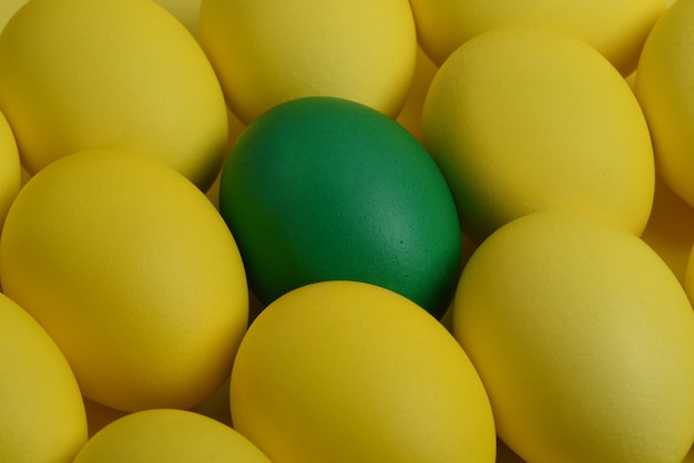 Un oeuf de Pâques peint vert se trouve entre les oeufs jaunes