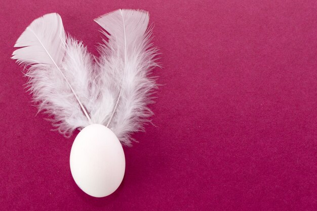 Oeuf de Pâques avec des plumes blanches. fond de Pâques coloré