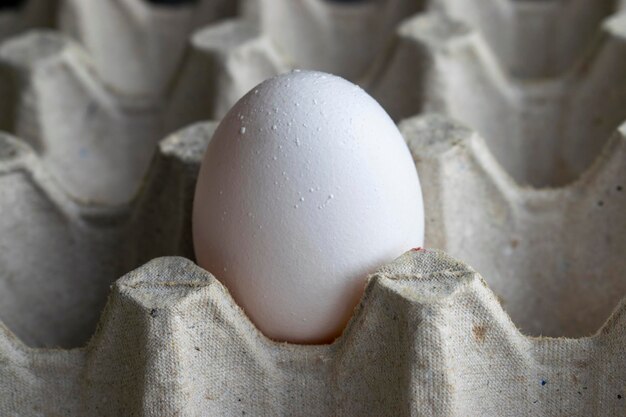 Oeuf de poule en boîte