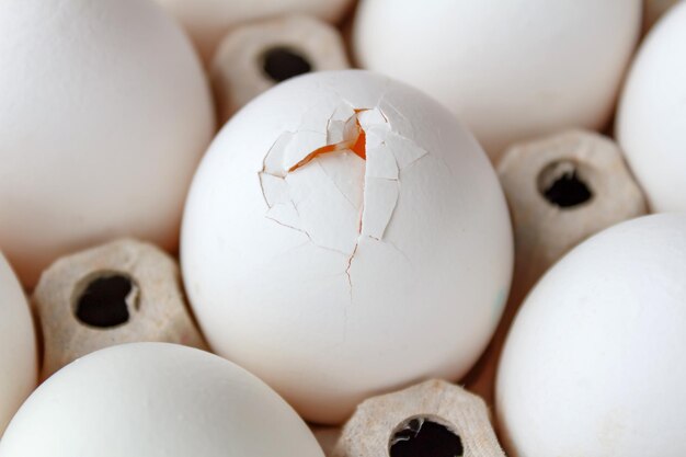 Oeuf de poule cassé dans un bac en carton libre