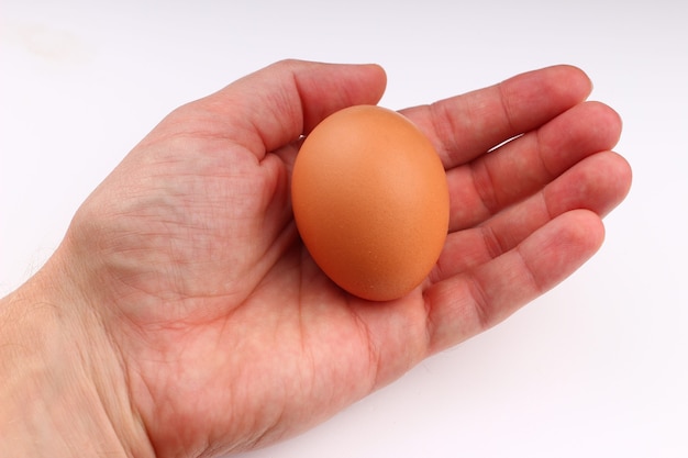 Oeuf de poule dans la main gros plan sur fond blanc