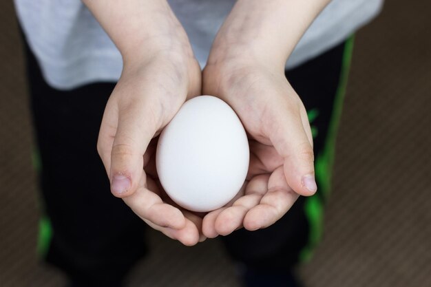 Oeuf de poule dans les mains des petits enfants