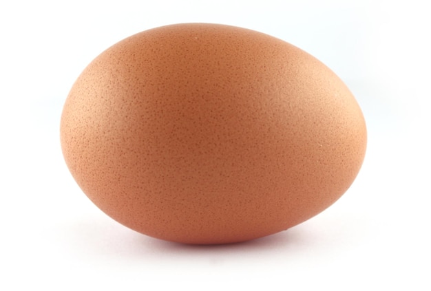 Oeuf de poule sur fond blanc