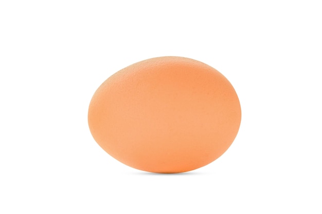 Un œuf de poule isolé sur fond blanc