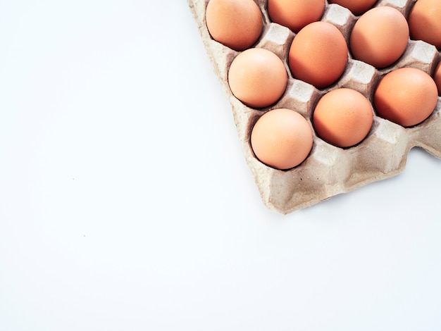 Oeuf de poule isolé