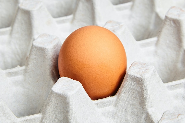 Oeuf de poule unique dans le bac à papier gros plan